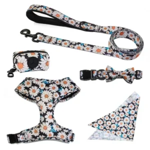 Adjustable Designer Training Print Lead Cat Traction Rope Strap Harness Pet Collars Set Dog Leash