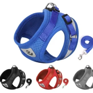 Adjustable Dog Chest Harness Personalized Dog Products Pet Harness Lead Leash