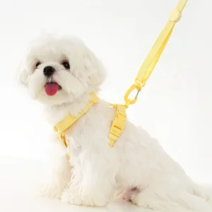 Adjustable Dog Harness H Shaped Chest and Back Leash Dog’s Walking Rope Chest Harness Collar and Leash