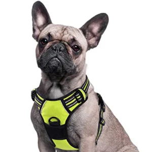 Adjustable Dog Harness OEM ODM Logo Heavy Duty Dog Harness