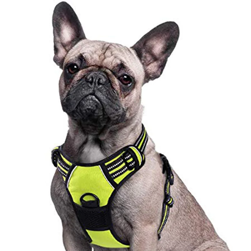 Adjustable Dog Harness OEM ODM Logo Heavy Duty Dog Harness