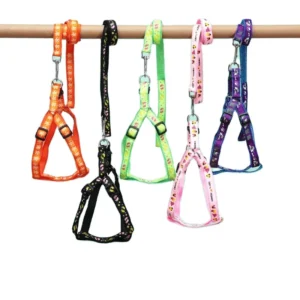 Adjustable Eco-friendly Nylon Polyester Webbing Dog Harness and Leash Set Durable Pet Outdoor Walking Harness for Small Dogs