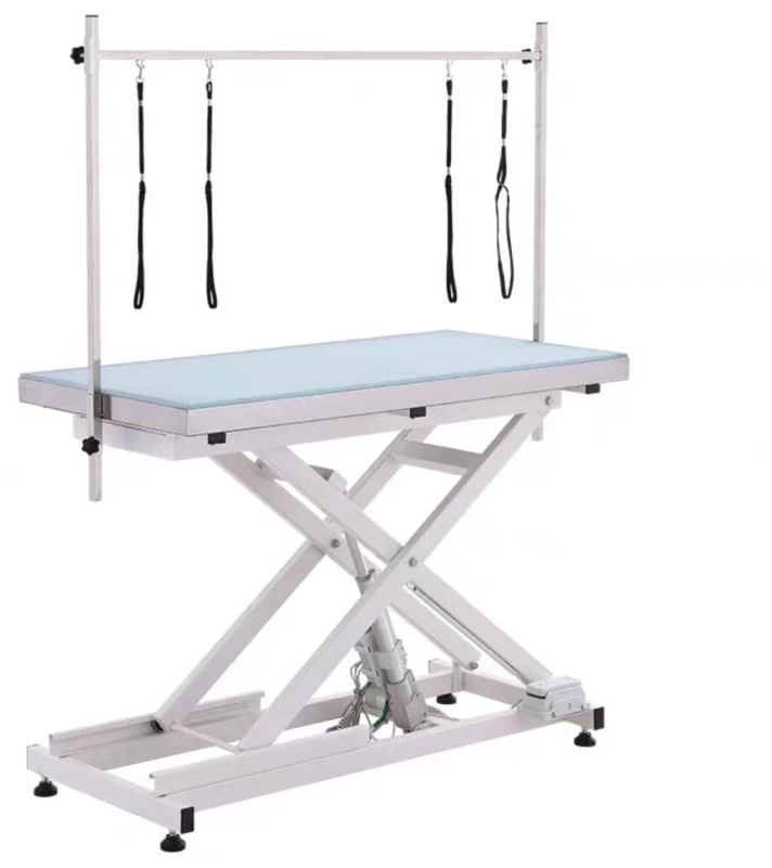 Adjustable Hydraulic Pet Grooming Products LED Lifting Electric Pet Grooming Table