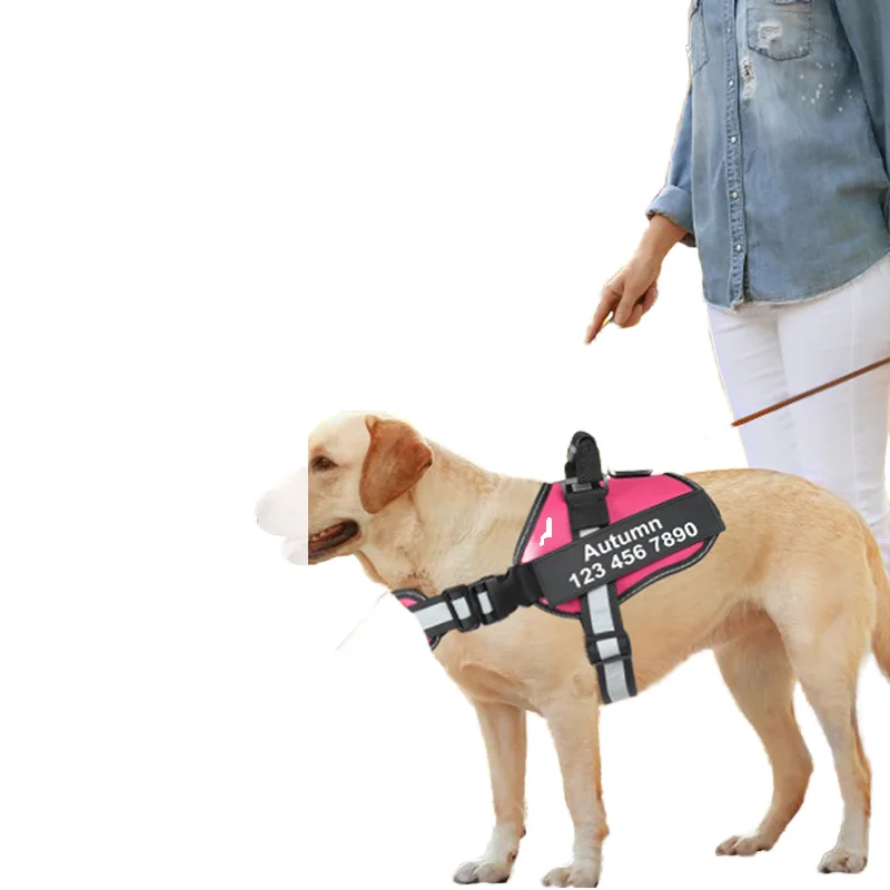 Adjustable Lightweight Dog Harness Breathable Supportive in Training Fashionable Nylon Cartoon Style for Small Medium Large Dogs