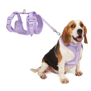 Adjustable No Pull Dog Harness Breathable Vest Harness for Small Medium Large Dogs Reflective and Comfortable for Daily