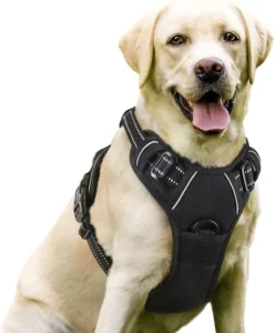 Adjustable No Pull Luxury Dog Harness Set