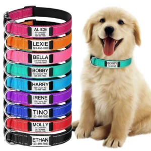 Adjustable Nylon Carved Dog Collar Ribbon Decorations Solid Pattern Pet Collar Accessory for Small Medium Dogs Pet Supplies