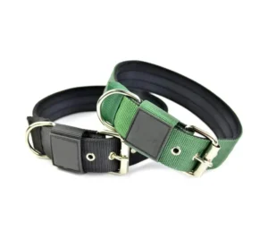 Adjustable Nylon Dog Collar with Fashion Solid Design Ribbons Decoration and Pet Safety Training