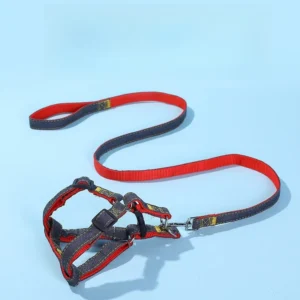 Adjustable Nylon Pet Harness & Durable Dog Collar Leash Set Fashionable Dog Chest Straps Designed by Manufacturer