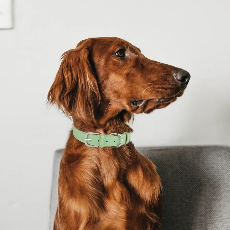 Adjustable PU Leather Pet Collar Dogs Cats Anti Lacing Solid Color Soft Padded Neck Strap Secure Buckle All Season Outdoor