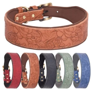 Adjustable Pet Collars Medium Large Dog Leather Webbing Training Explosion Proof Collars