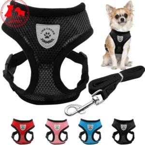 Adjustable Pet Dog Cat Chest Straps Harness Leash Leads Collar Vest Small Pet Basic Halter Harnesses for Dog Pet