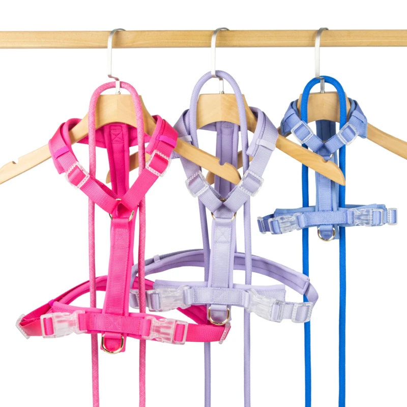 Adjustable Pet Dog Harness Small and Large Strong Dog Leash Pet Harness Color Design Dog Vest