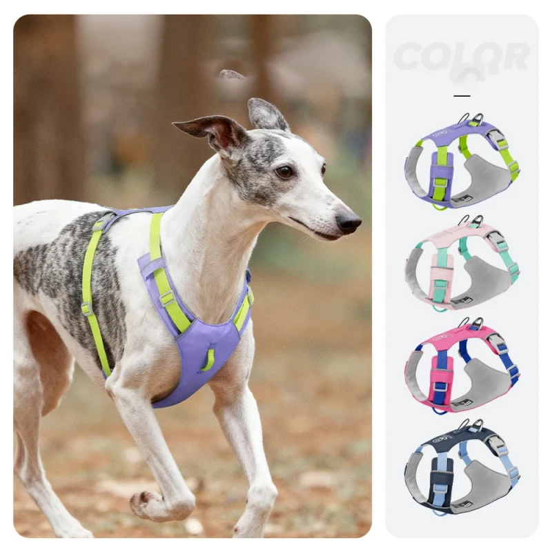 Adjustable Pet Dog Leash Harness Waterproof Dog Harness Small and Medium Sized Dog Walking Leash Harness