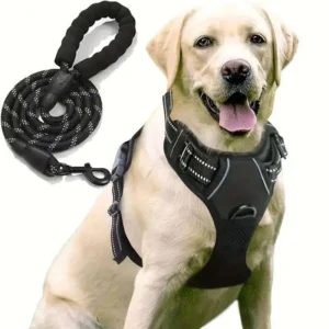 Adjustable Pet Harness Leashes Puppy Collar for Small Dogs Harness Pet Designer Dog Collar Leash Dog Accessories