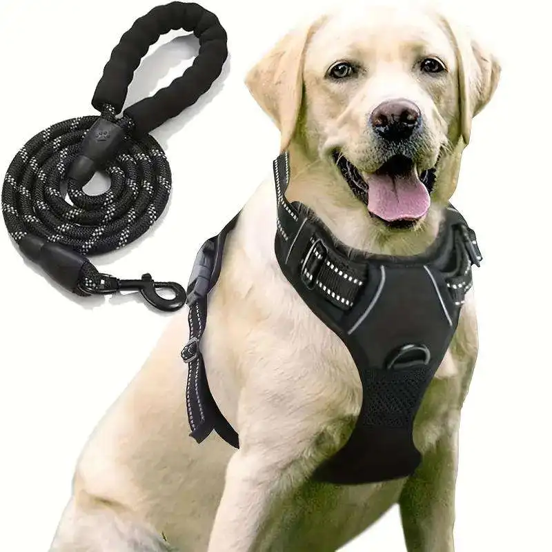 Adjustable Pet Harness Leashes Puppy Collar for Small Dogs Harness Pet Designer Dog Collar Leash Dog Accessories