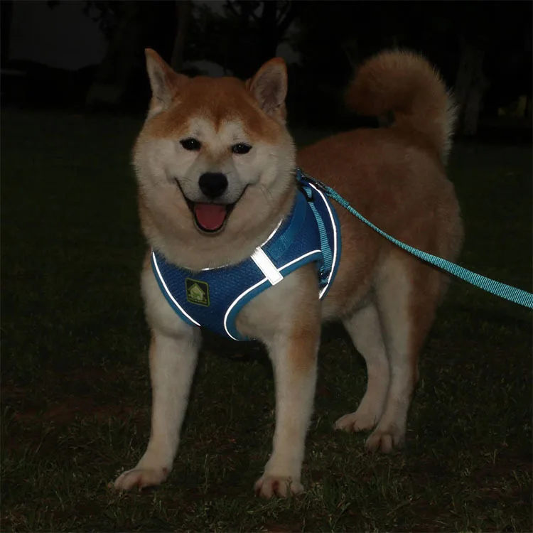 Adjustable Pet Harness Reversible Dog Harness Set Luxury Design Custom Dog Harness