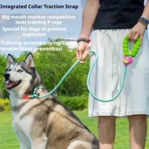 Adjustable Pet Harness Training Lead for Small Medium Dogs Cute Animal Print Nylon P Rope Harness Outdoor Walking Harness