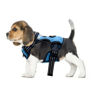 Adjustable Pet Harness for Dogs Waterproof Soft No Pull Reflective Solid Design Made Polyester Leather Nylon for Dog Walking