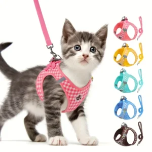 Adjustable Polyester Harness Leash Set Soft Padded Dog Harness Reflective Cat Vest Collar for Pets Accessorize Your Furry