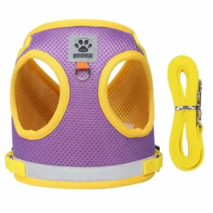 Adjustable Polyester Soft Mesh Dog Harness Breathable Puppy Collar with Chest Strap Leash for Cats