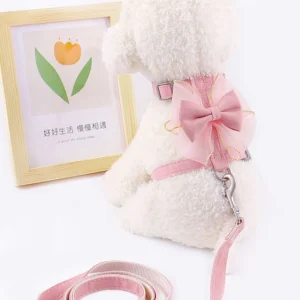 Adjustable Puppy Harness Vest Pretty and Comfortable Dog Cat Harness Leash Pet Harness Set
