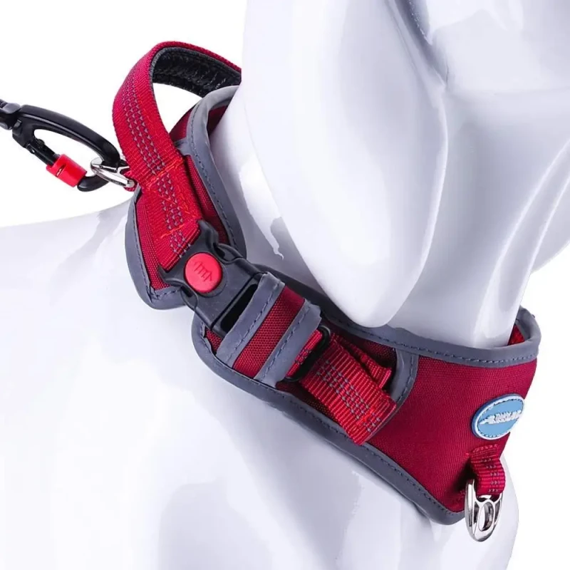 Adjustable Reflective Nylon Print Dog Training Walking Collar for Sport Fashion Supplies