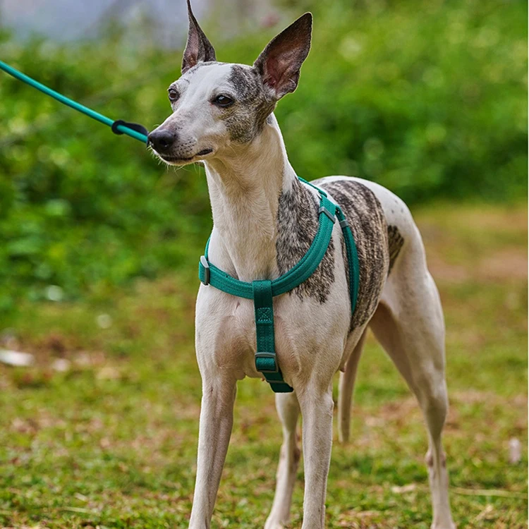 Adjustable Reflective Soft Waterproof Dog Harness Durable No Pull Luxury Pet Harness Outdoor