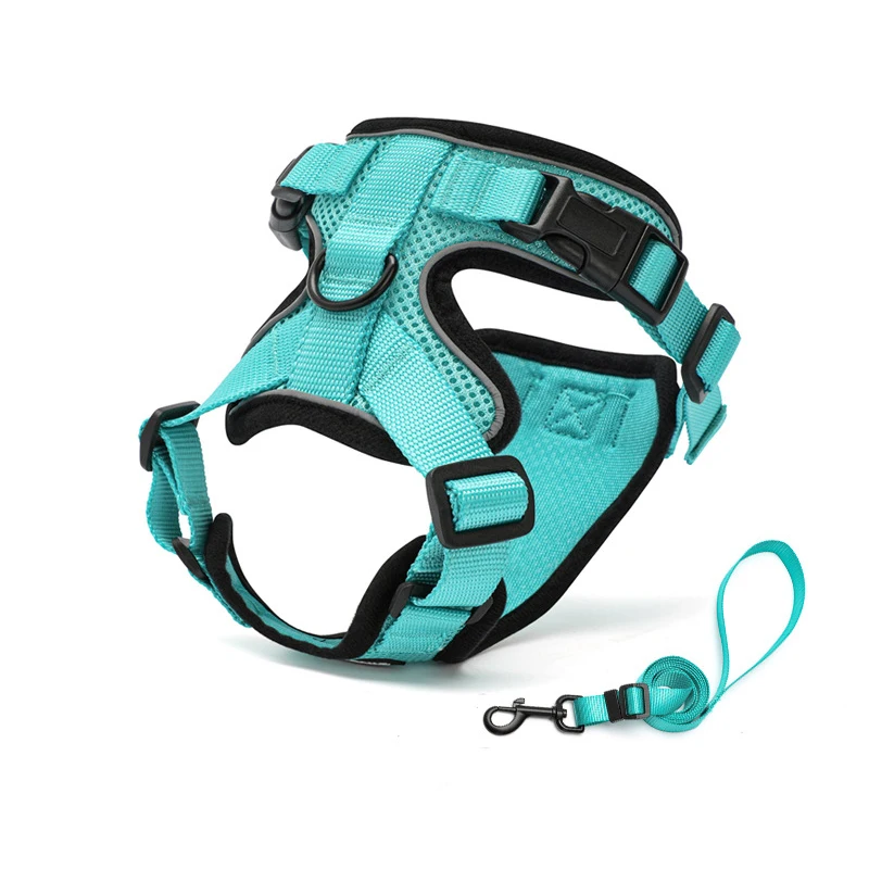 Adjustable Size Dog and Cat Harness Padded Polyester Buckle Closure Accessories