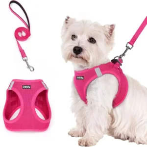 Adjustable Soft Breathable Mesh Step in Dog Vest Harness with Walking Leash Reflective Safety Pet Harness Set for Small Puppies