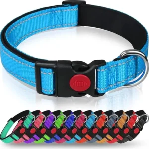Adjustable Soft Neoprene Padded Nylon Pet Collars with Buckle for Small Medium Large Dogs