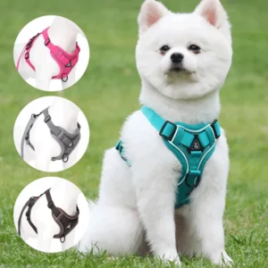 Adjustable Soft Nylon Pet Dog Harness with Escape Proof Feature and Leash for Sustainable Walking Featuring Rivet Decoration