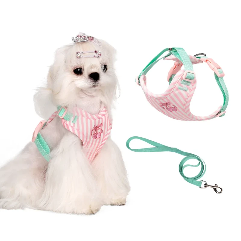 Adjustable Striped Dog Harness Leash Simple Luxury Outdoor Walking Accessories for Puppy and Cat Pet Dog Harness
