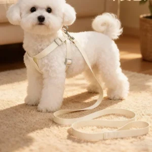 Adjustable Vest Dog Harness & Leash Set Durable Walking Lead Breathable Outdoor Gear for Dogs Cats Pet Supplies