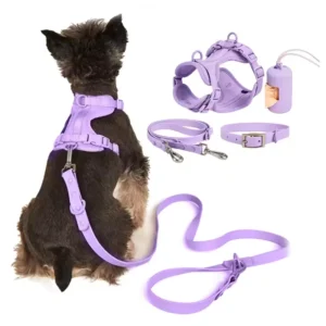 Adjustable Waterproof PVC Dog Harness Leash Collar Set Sport Durable Eco Friendly Simple Pet Walking Training Harness Small
