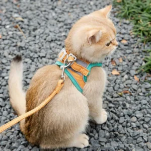 Adjustable small Dog puppy cat Harness Vest Leash Set French Bulldog Chihuahua Pug Outdoor Walking Lead Leash