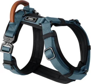 Advanced Explorer Dog Harness Y-Shape Padded Solid Eco-Friendly Nylon Pet Vest Metal Buckle Leather Handle Adjustable Small