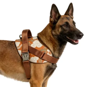 Adventure Customized Leather Dog Harness for Small Large Dog