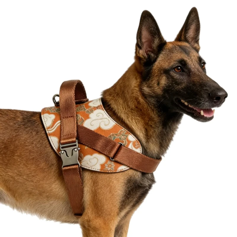 Adventure Customized Leather Dog Harness for Small Large Dog