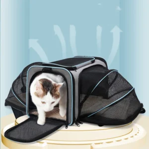 Airline Approved Expandable Soft Sided Pet Carrier With Removable Fleece Pad and Pocket for Cats Puppy and Small Animals
