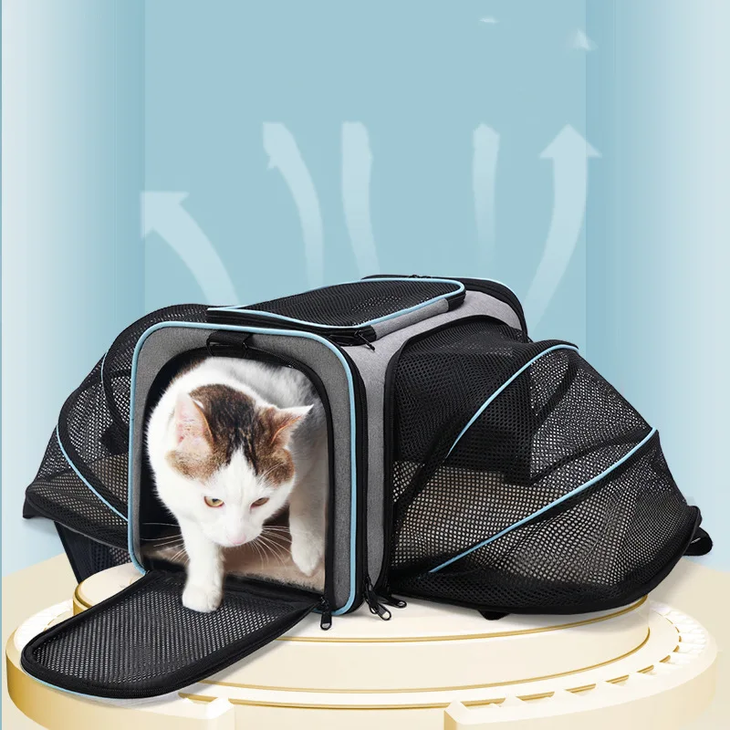 Airline Approved Expandable Soft Sided Pet Carrier With Removable Fleece Pad and Pocket for Cats Puppy and Small Animals