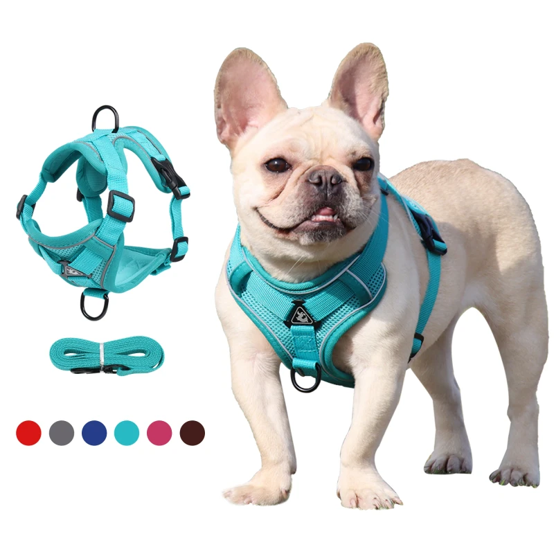 Alibaba Reflective Breathable Small and Medium sized Dog Pet Cat Collars Leashes Harnesses Pet Harness Set