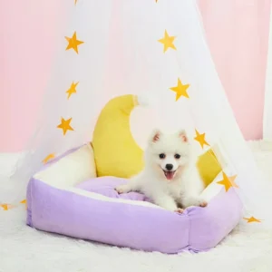 All Season Eco Friendly Coral Fleece Solid Square Indoor Pet Bed Washable Cushion for Cats Dogs Small