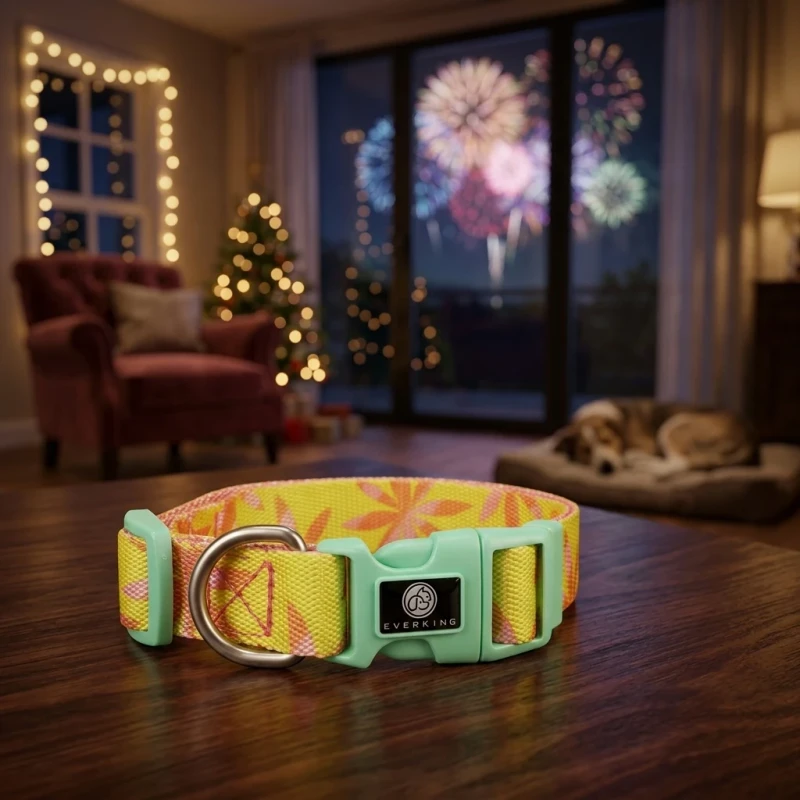 Angry Orange Dog Collar Custom Logo Pet Collar From China Professional Pet Supplier