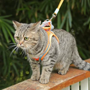 Anti Break Retractable Scalable Cat Small Dog Harnesses Walking Leash Custom Pet Brand Pet Harnesses