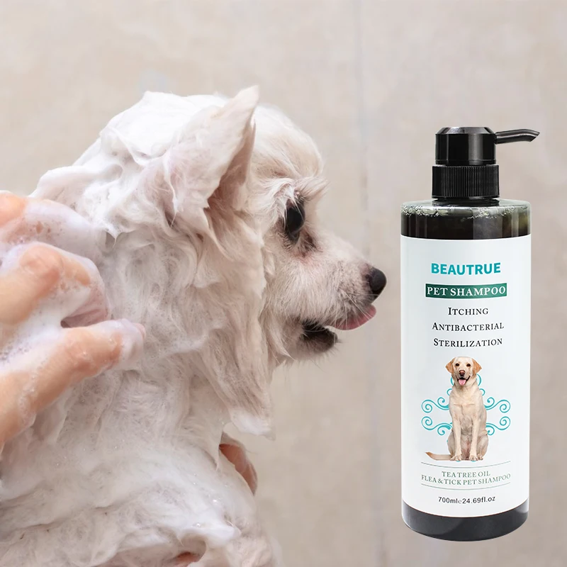 Anti Itching Pet Shampoo Profesional Best Skin Care Pet Shampoo Dog and Cat Shampoo