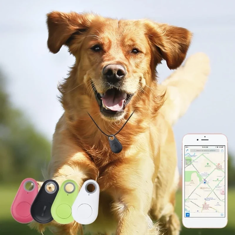 Anti-Lost Mini Smart GPS Pet Tracker for Cats & Dogs IOS/Android App 20+ Hours Battery Life Waterproof Design 12-Month Warranty