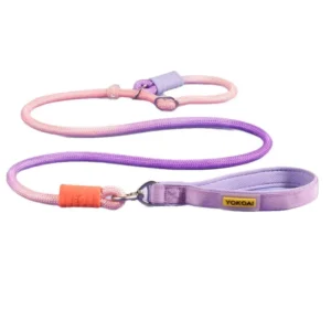 Anti-Pull P-Strap Dog Leash Anti-Tangle Non-Retractable Leash for Medium & Large Dogs