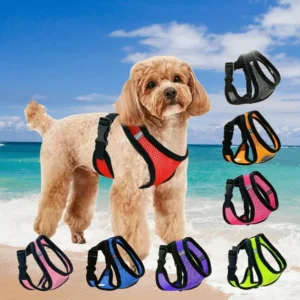 Anti Pull Pet Harnesses & Leashes for Dogs and Cats Outdoor Walking Supplies