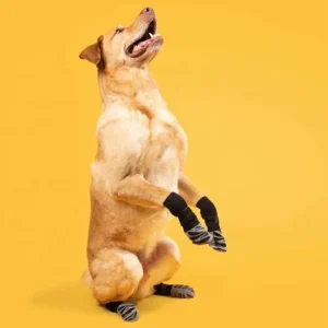 Anti Slip Dog Socks Winter Indoor Warm Pet Socks